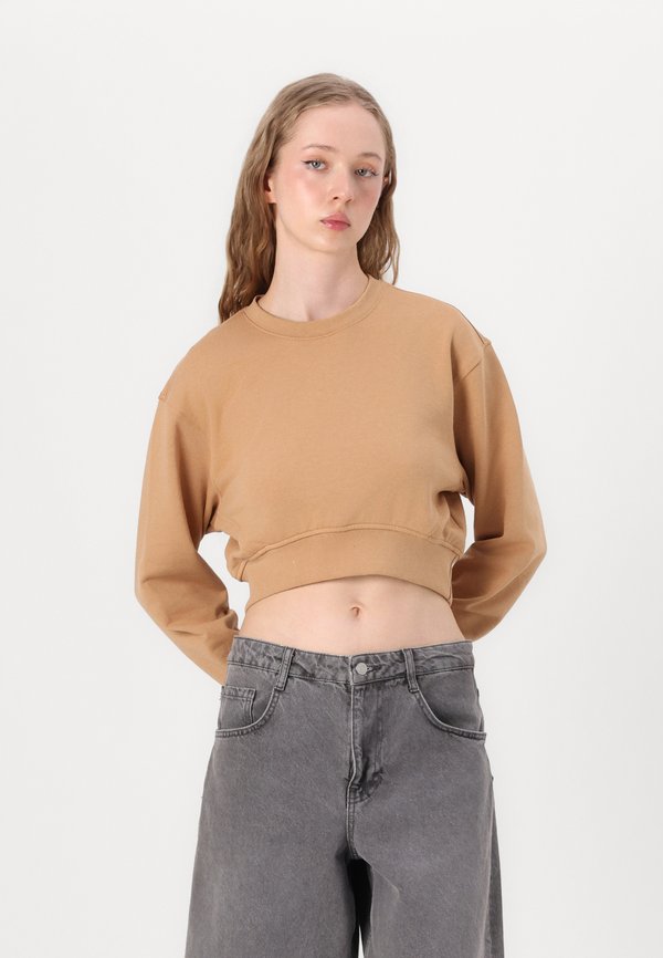 Sweatshirt - tanzine4