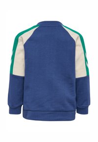 Blaues Sweatshirt mit cremefarbenen und grünen Akzenten an den Ärmeln, strukturiertem Stoff, gerippten Bündchen und Saum sowie einem runden Halsausschnitt.