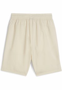 Puma DESERT ROAD - Pantalones deportivos - alpine snow