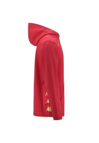 Felpa rossa con cappuccio, dettagli in logo dorato, maniche lunghe, tasca frontale e un tessuto morbido e strutturato. La vista laterale evidenzia la sua forma aderente.