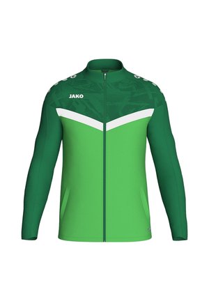 FUSSBALL - TEAMSPORT - ICONIC - Veste de survêtement - gruen