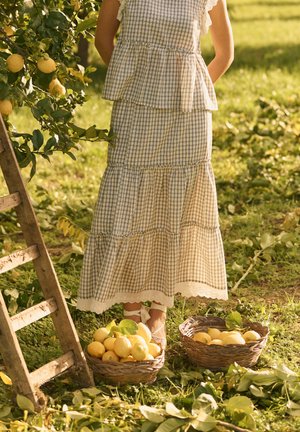 Žena v károvaných šatách stojí pri citrónovníkoch s dvoma košíkmi plnými citrónov a dreveným rebríkom na trávnatej pôde.