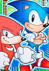 Illustratie van twee cartoonfiguren, een blauwe egeltje en een rode echidna, met dikke contouren en levendige kleuren tegen een kleurrijke achtergrond.