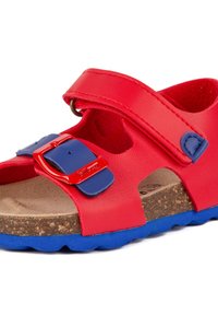 Sandales rouges et bleues avec deux brides réglables, une boucle, un semelle en liège et une semelle en caoutchouc texturée. Présente un design à couleur unie.