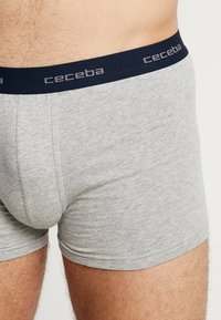 Gray cotton briefs with a dark blue elastic waistband featuring "ceceba" branding. The fabric has a smooth, soft texture.