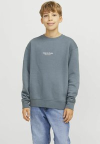 Jack & Jones Junior JORVESTERBRO CREW NECK NOOS - Ikdienas džemperis - stormy weather