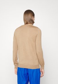 Pull en maille brun clair à manches longues, avec poignets et ourlet côtelés. Texture douce, design minimaliste, vue arrière sans ornements sur fond blanc.