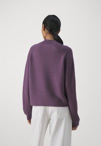 DRYKORN LOTIAMI - Pulóver - purple