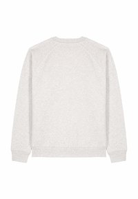 Felpa grigio chiaro, realizzata in materiale morbido, con scollo rotondo, maniche raglan e orlo a coste. Vista posteriore, senza grafica o motivi.