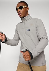 Pulóver de forro polar gris con cuello de media cremallera y parche del logo de Patagonia. Combinado con bastones de trekking negros; el fondo es liso.