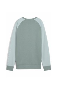 Sweat-shirt à manches longues avec corps vert sauge et manches raglan vert clair, poignets côtelés et texte blanc subtil sur la manche gauche.