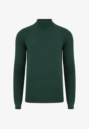 Zielony sweter z golfem, dzianinowy materiał, długie rękawy, ribbowane mankiety i dół, dopasowany krój, gładka faktura, prosty i minimalistyczny styl.