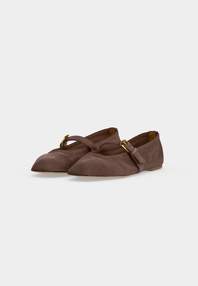 Paire de ballerines en daim marron à bout pointu avec brides Mary Jane réglables et boucles dorées, présentées sur un fond clair uni.