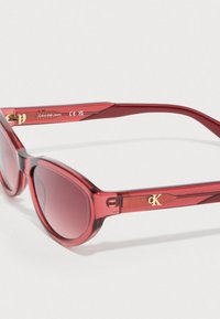 Occhiali da sole in plastica rossa con forma arrotondata, lenti marroni sfumate e dettaglio dorato sulle astine. Presentano il marchio sul lato.