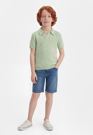 Abercrombie & Fitch JOHNNY COLLAR - Polo shirt - silt green
