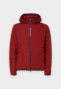 TRAIN PREMIUM  JACKET - Puhovka - syrah