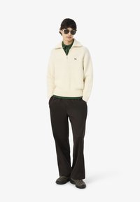 Pullover a maglia crema con collo a zip, tessuto testurizzato e una camicia col verde sotto. Abbinato a pantaloni neri e sneaker marroni.