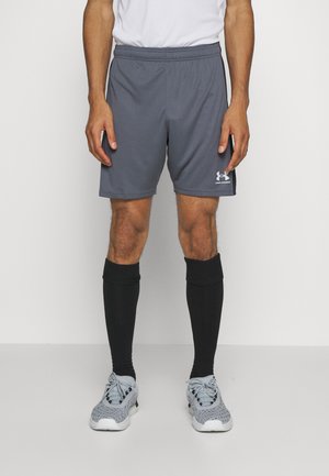 CHALLENGER - Sports shorts - castlerock/white