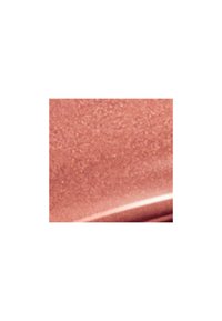 Danessa Myricks Beauty COLORFIX MATTES - Øyenskygge - coinz