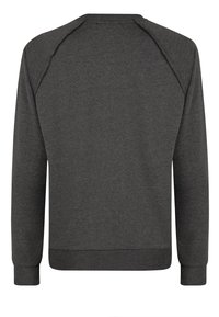 Sweatshirt en coton gris avec des manches longues, un col rond et des poignets et un ourlet côtelés. Texture lisse avec un design simple et de couleur unie.