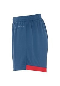 Kempa PLAYER  - Korte sportsbukser - ice grau fluo rot