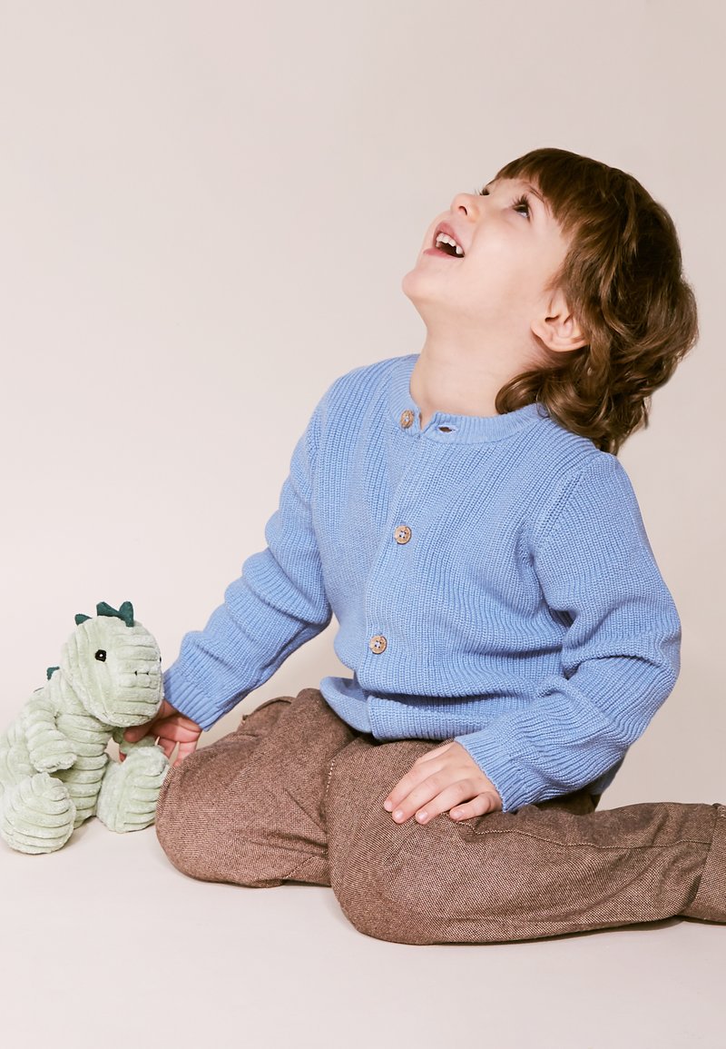 Cardigan en tricot bleu clair avec des boutons en bois, associé à un pantalon brun à motifs. Enfant assis avec un jouet dinosaure en peluche vert.