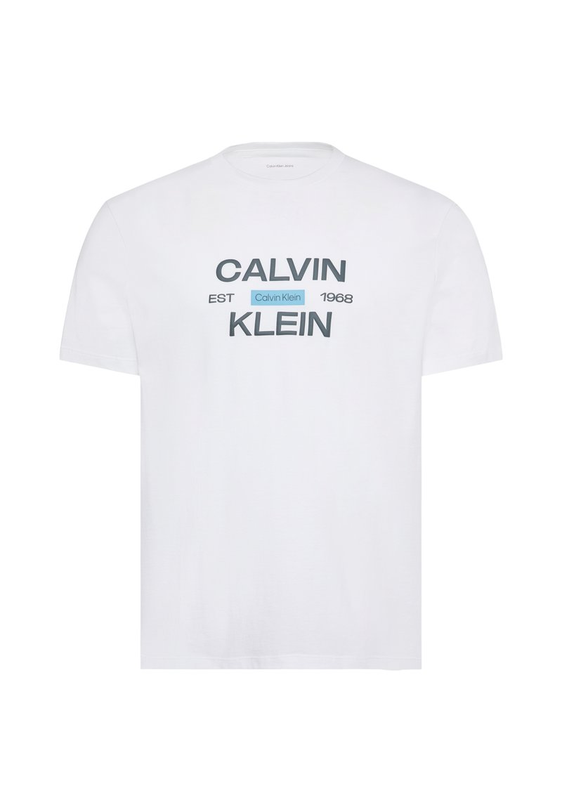 Camiseta estampada