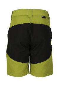 ZIGZAG Shorts - woodbine