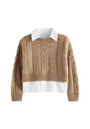 REGULAR FIT  - Neule - neutral