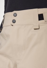 Peak Performance ALPINE GORE-TEX PANTS - Snowboardbyxor - avid beige