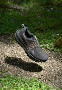 ASICS GEL-SONOMA 8 GTX - Chaussures de running - black