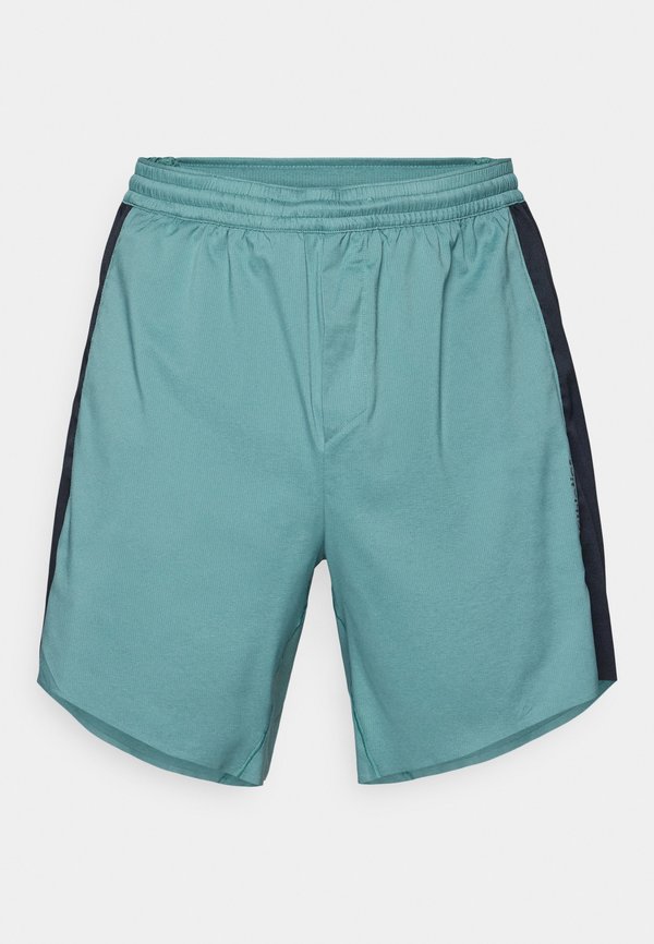 M TRNSHORT 7"  - Sports shorts - silver pine4