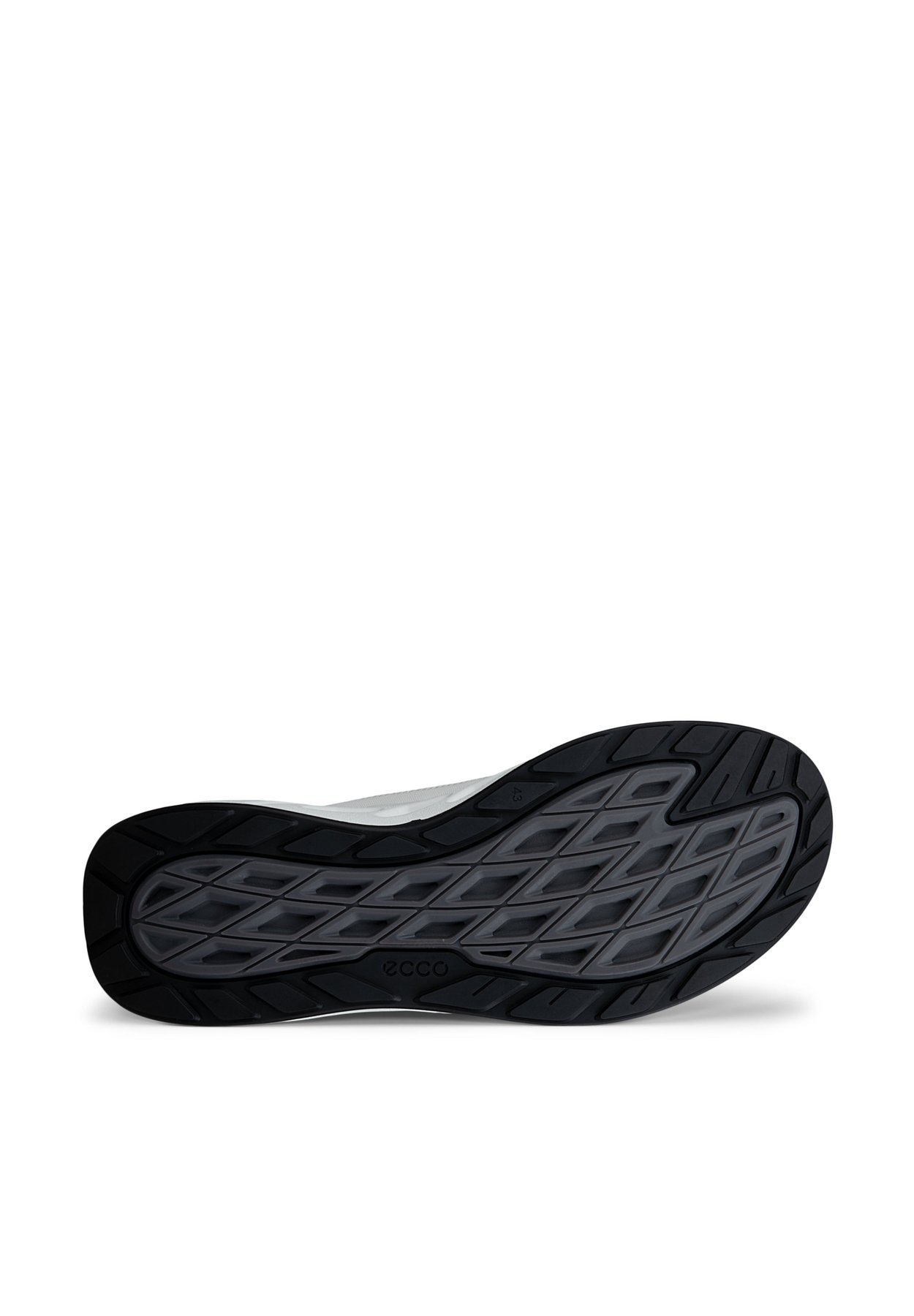 BIOM 720
