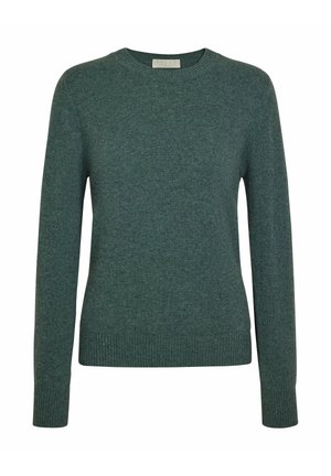 Green knitted sweater with a round neckline, long sleeves, and ribbed cuffs and hem. Soft texture, medium thickness, casual fit.
