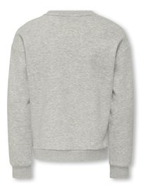 Grijze sweatshirt met een losse pasvorm, zachte textuur, geribbelde manchetten en zoom, en een ronde halslijn. Geen zichtbare afbeeldingen of patronen.