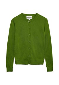Unausgewählt, fern green