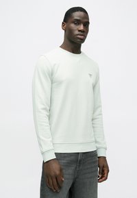 Világos menta zöld pulóver pulóver anyagból, kerek nyakkal, hosszú ujjakkal és egy kis logóval a bal mellkason.