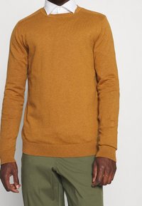 Maglione giallo senape realizzato in morbido materiale a maglia. Presenta una scollatura a girocollo e polsini a coste. Abbinato a pantaloni verdi.