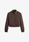 WATER-REPELLENT PINSTRIPE TECHNICAL JACKET - Veste de survêtement - chocolate red