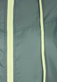 Ljusgrön zippered jacka med tunna, strukturerade dragsnören. Tillverkad av slät, glänsande tyg; har en sydd sömdetalj.