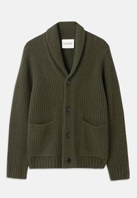CARDIGAN - Cardigan - marsh green