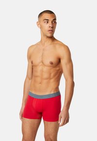 Red cotton boxer briefs with a grey elastic waistband featuring branding. The fit is snug, accentuating the body’s shape.