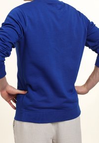 Blue cotton sweatshirt with a round neckline, ribbed cuffs, and a smooth texture. Features a fitted waist and plain design.