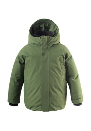 CHIPMUNCK - Giacca invernale - bronze green