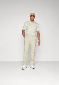 Oakley TERRAIN PANT - Stoffhose - silver sage/white