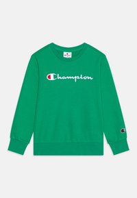 Grønn hettegenser i bomullsblanding med rund hals. Har hvit brodert "Champion" logo foran og liten logo detalj på ermet.