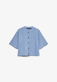 Neizbrano, brunnera blue