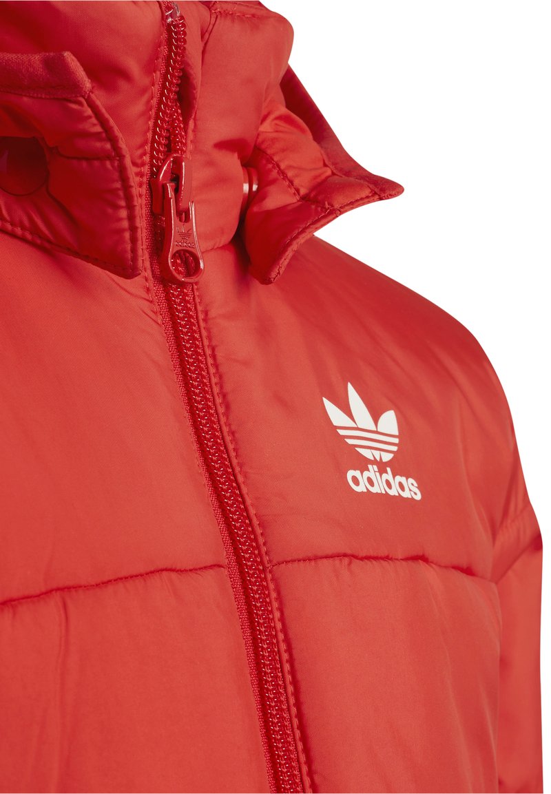 vivid jacket Originals adidas Winter red/red - - ADICOLOR