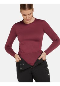 icebreaker 260 TECH HIGH RISE  - Tights - port