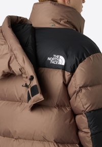 The North Face M HMLYN BALTORO JACKET - Winterjacke - mocha brown/tnf black